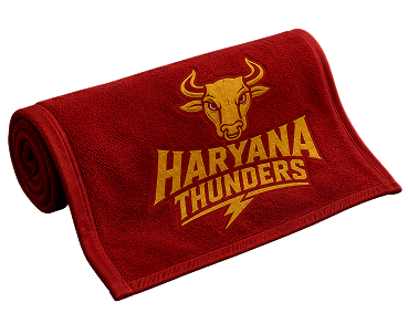 Sweat Absorbent Towel